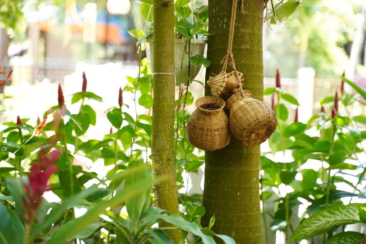 Longan Homestay Hoi An Exterior foto